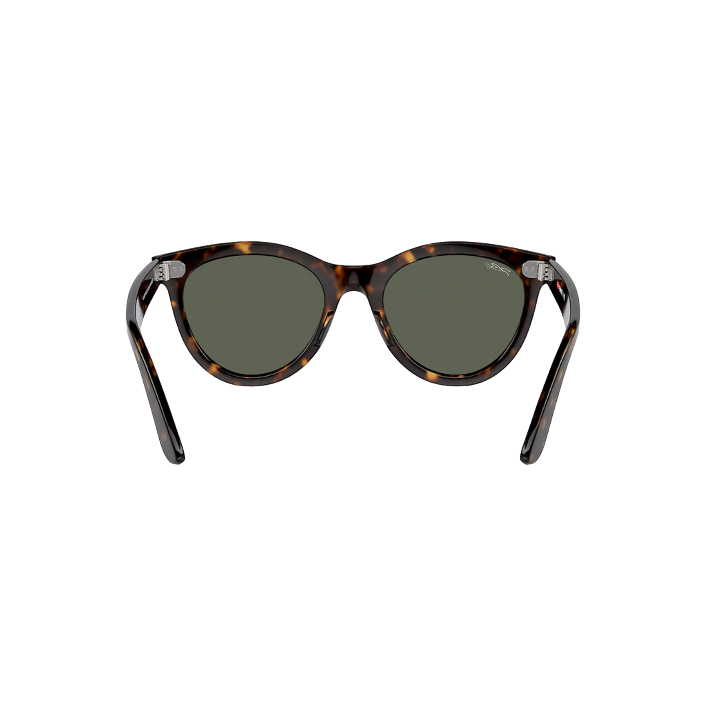 RB DUCK WALKER 102 55 Polarized