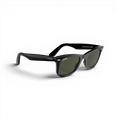 RB CLASSIC WALKER 100 55 Polarized