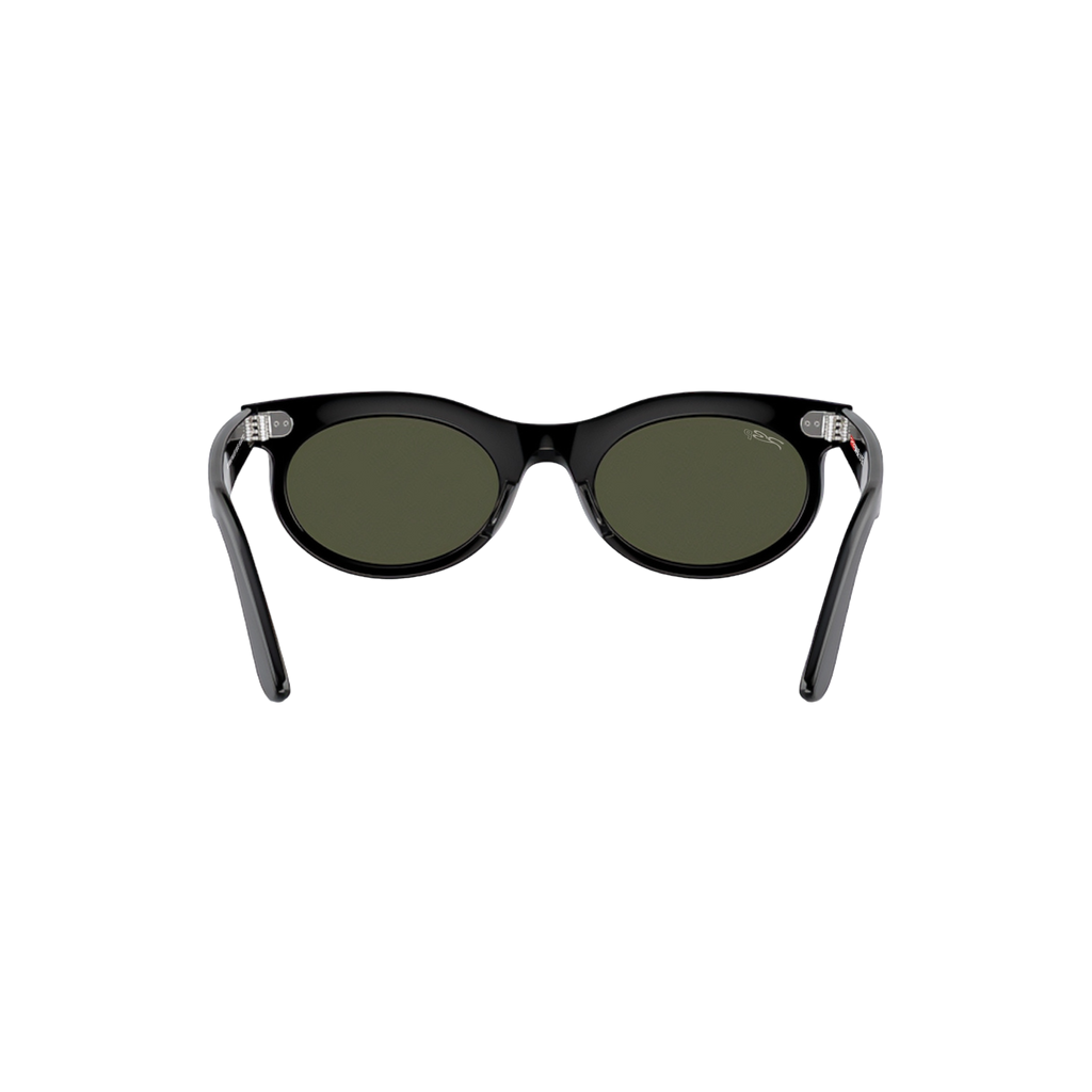RB ROUND WALKER 100 55 Polarized