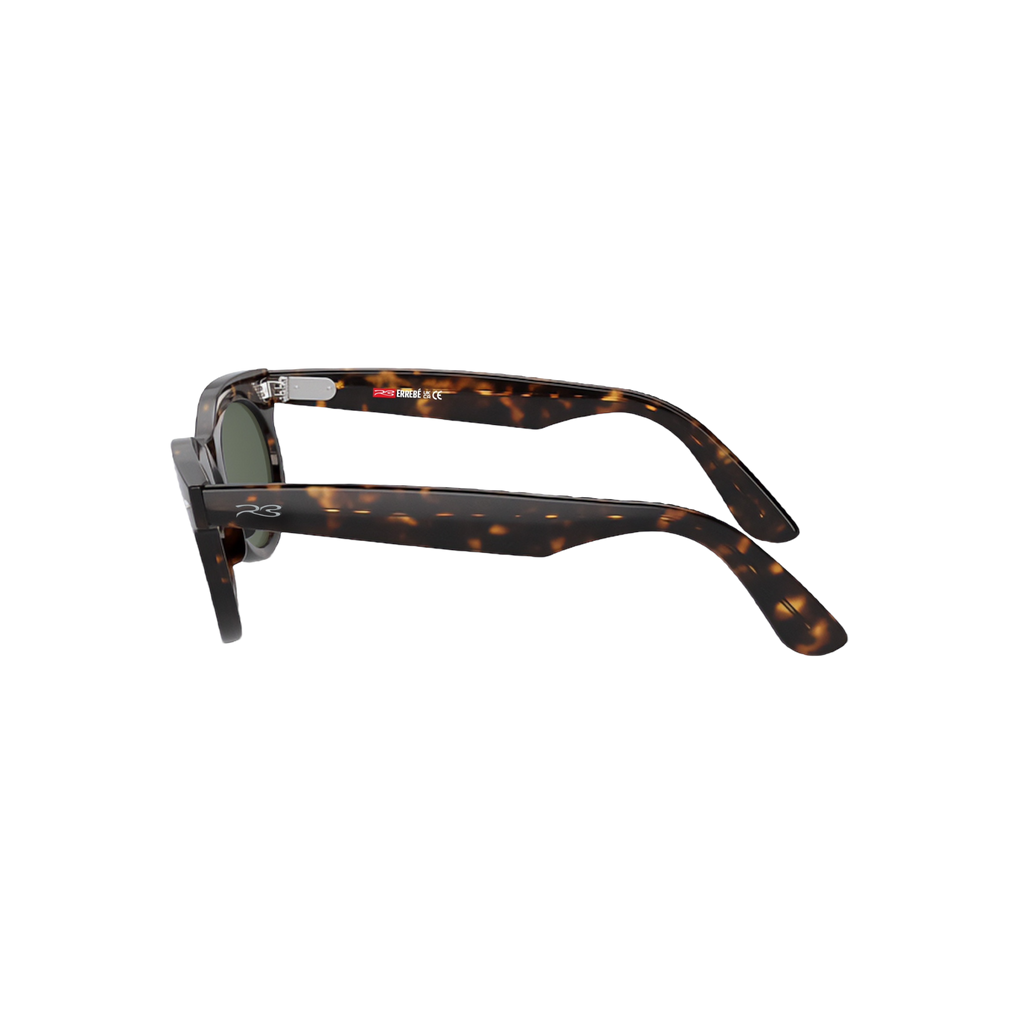 RB ROUND WALKER 102 55 Polarized