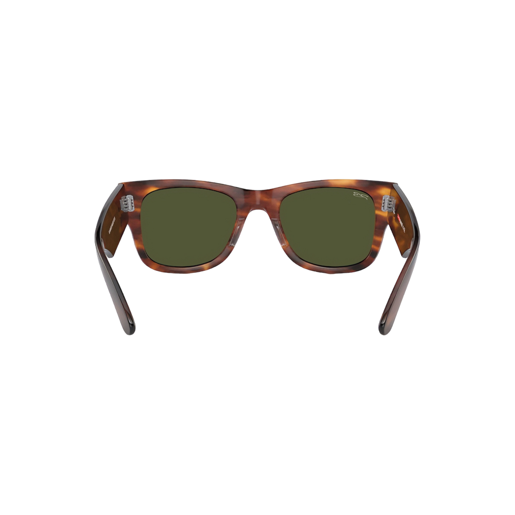 RB MONSTER WALKER 102 05