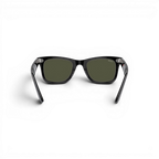 RB CLASSIC WALKER 100 05