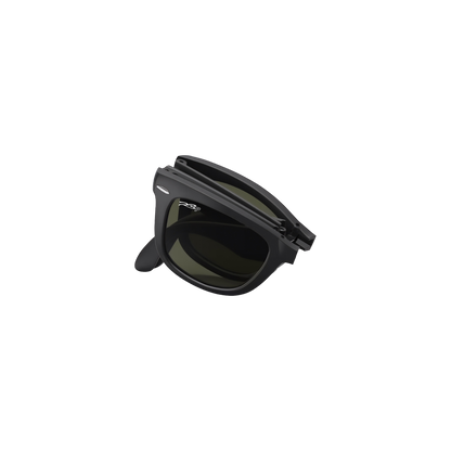 RB FOLDING WALKER 101 55 Polarized