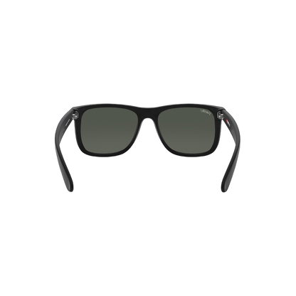 RB EMBAT 101 55 Polarized