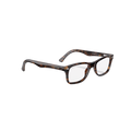 RB RAINBOW OPTICS 102 (Havana)