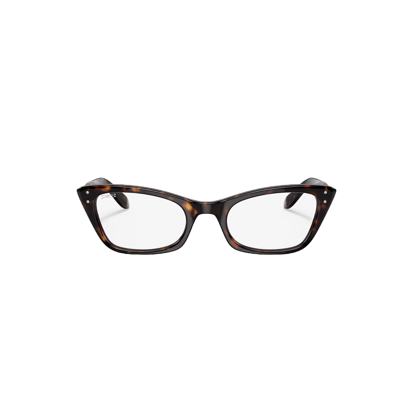 RB FRIEND OPTICS 102