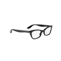 RB FRIEND OPTICS 100