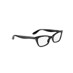 RB FRIEND OPTICS 100