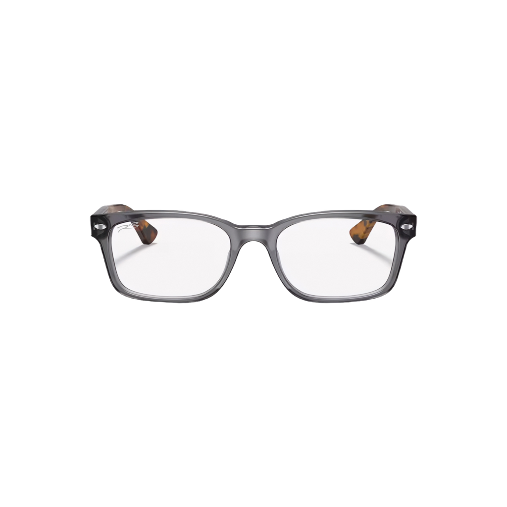 RB STREET OPTICS 113/02 (Grey)