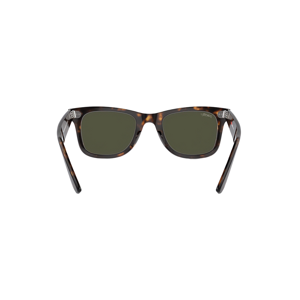 RB CLASSIC WALKER 102 55 Polarized