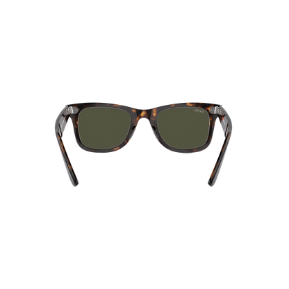 RB CLASSIC WALKER 102 55 Polarized