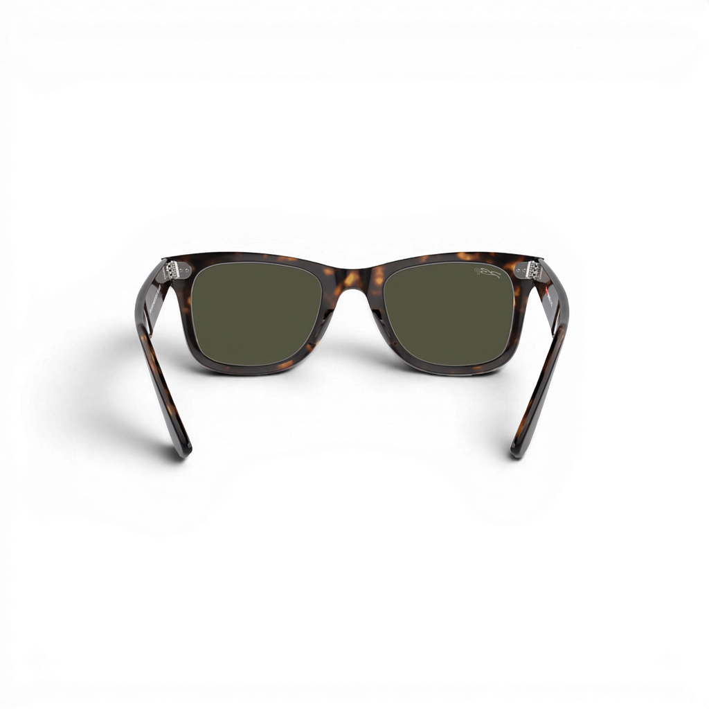 RB CLASSIC WALKER 102 55 Polarized