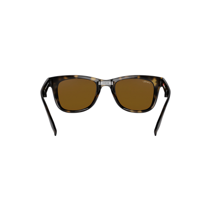 RB FOLDING WALKER 102 55 Polarized