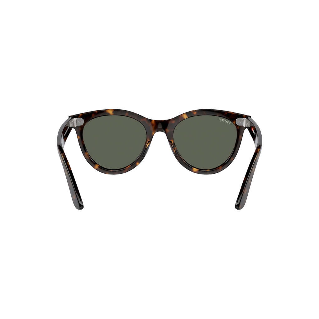 RB DUCK WALKER 102 55 Polarized