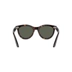 RB DUCK WALKER 102 55 Polarized