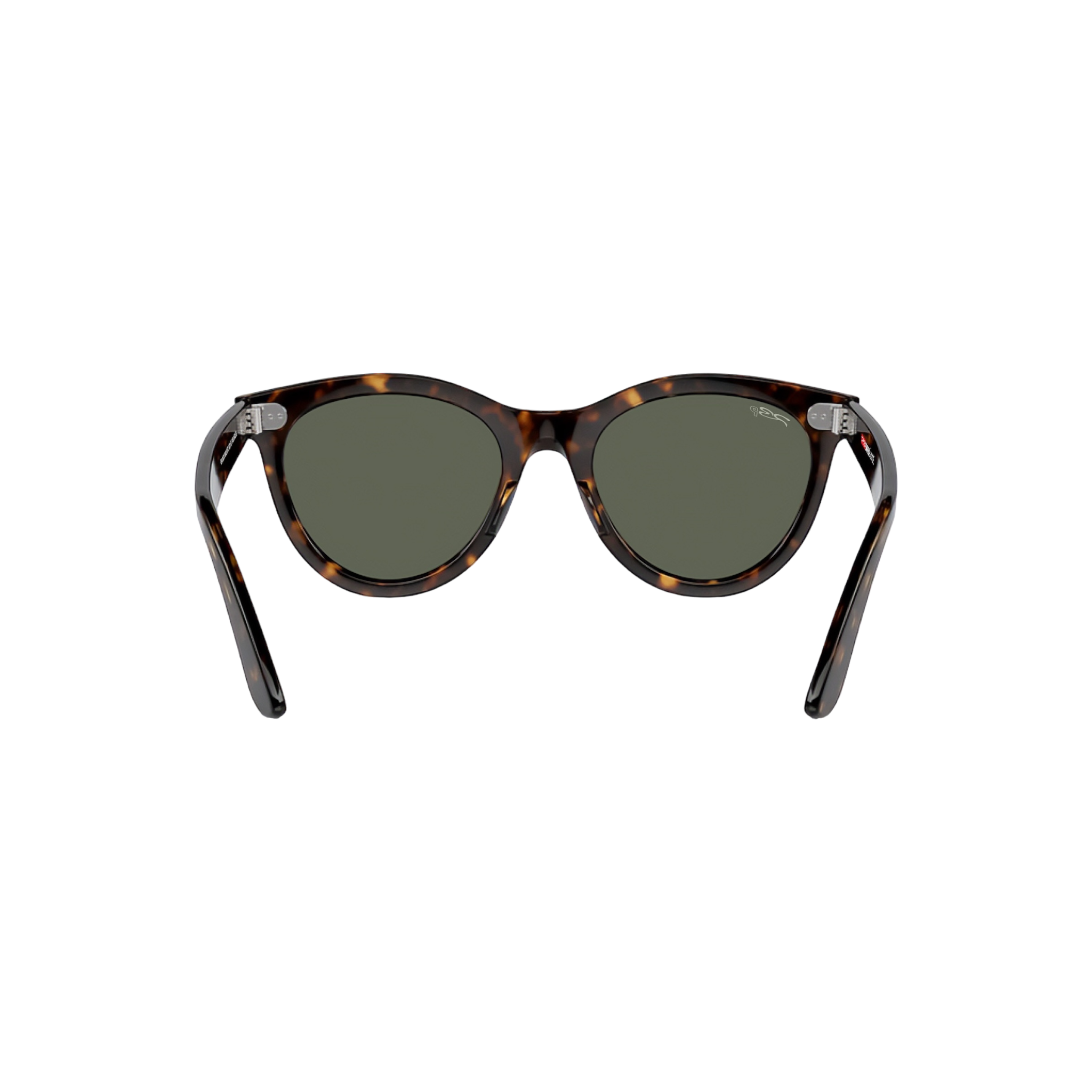 RB DUCK WALKER 102 55 Polarized