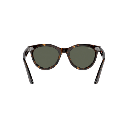 RB DUCK WALKER 102 55 Polarized