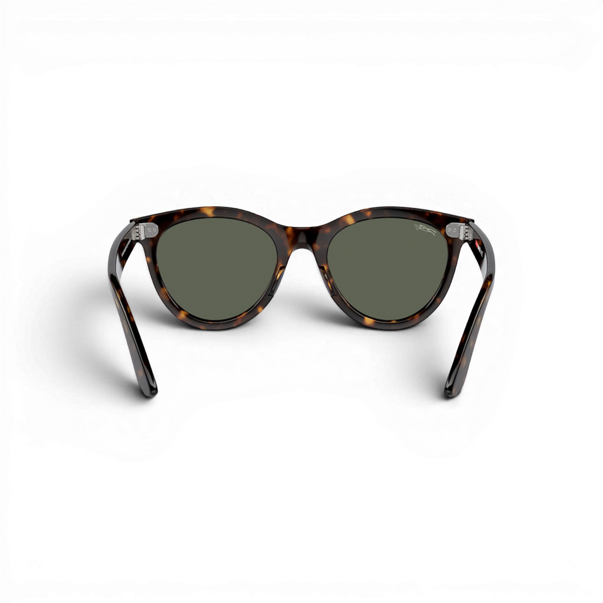 RB DUCK WALKER 102 55 Polarized