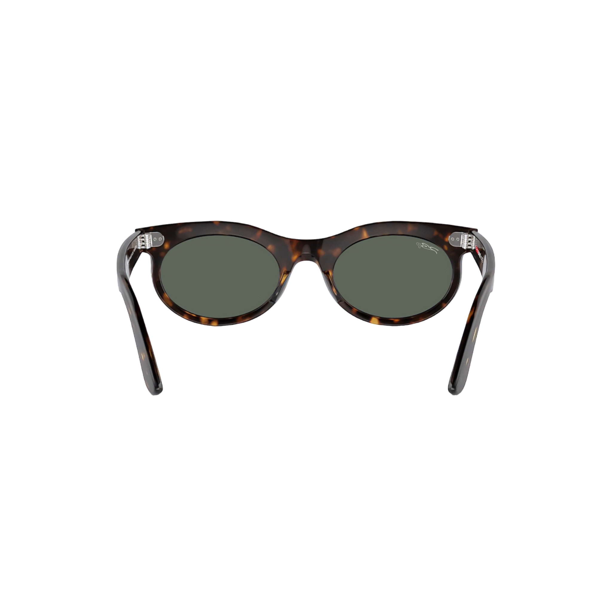 RB ROUND WALKER 102 55 Polarized