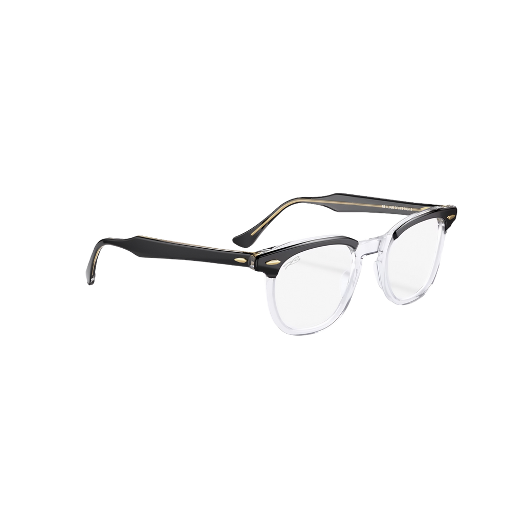 RB CLOUD OPTICS 100/12 (Black-Transparent)