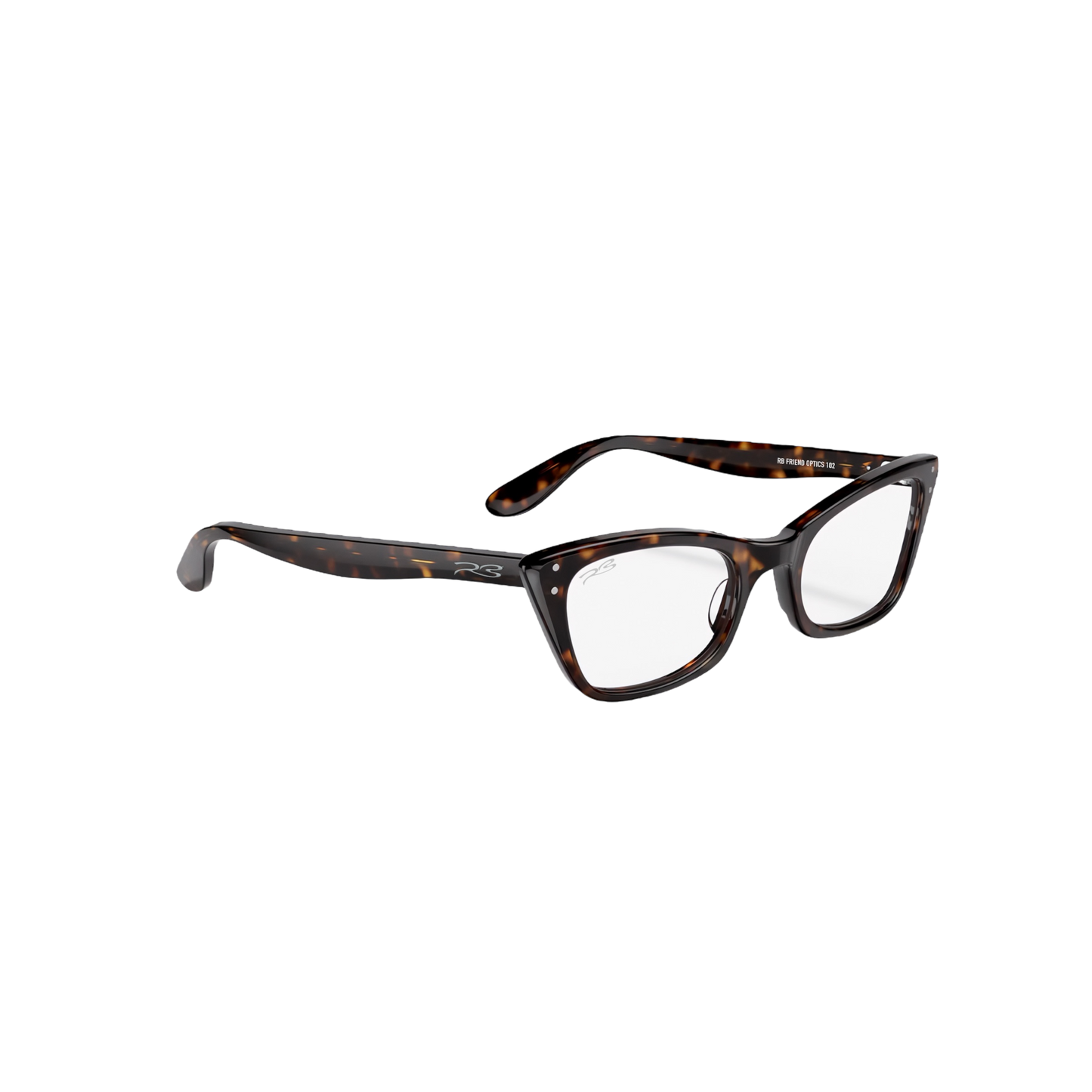 RB FRIEND OPTICS 102
