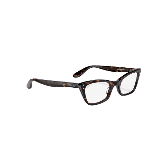 RB FRIEND OPTICS 102