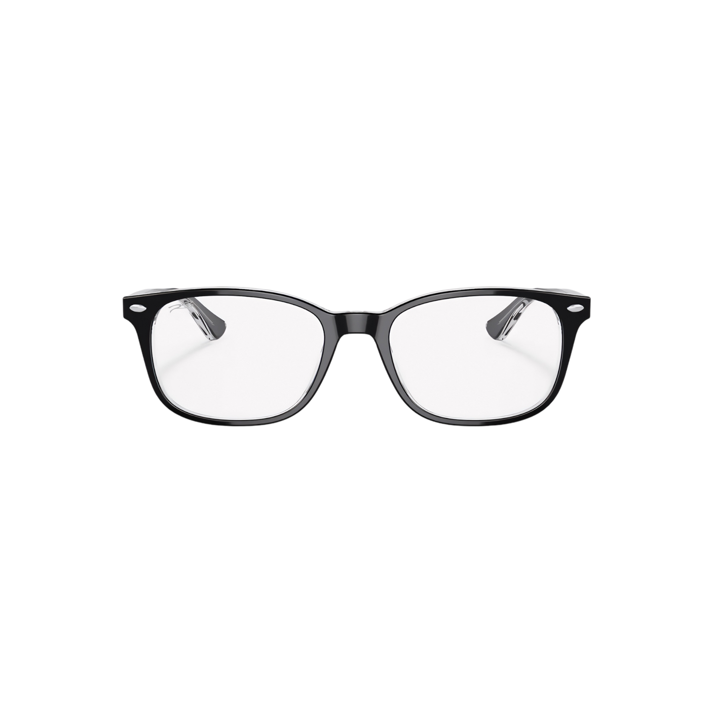 RB ROCKY OPTICS 100 (Black)