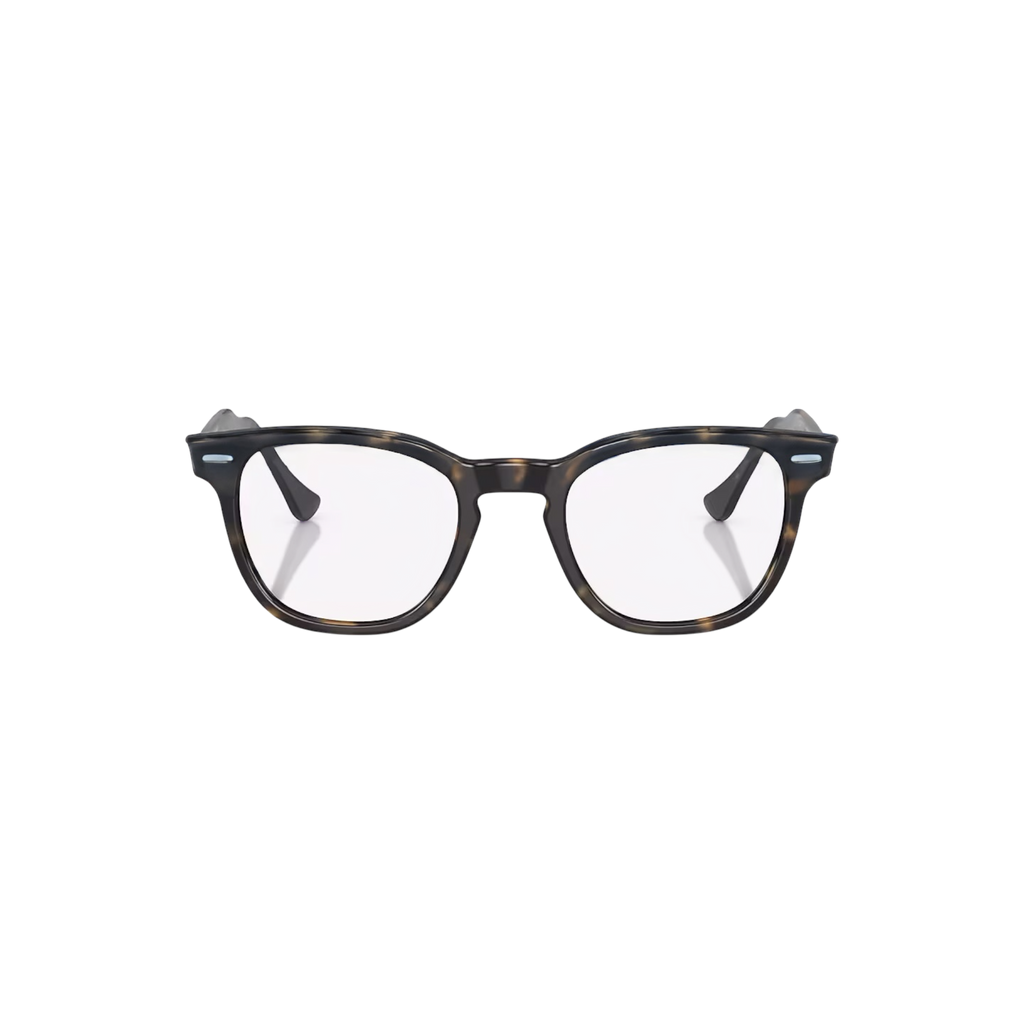 RB CLOUD OPTICS 102 (Havana)