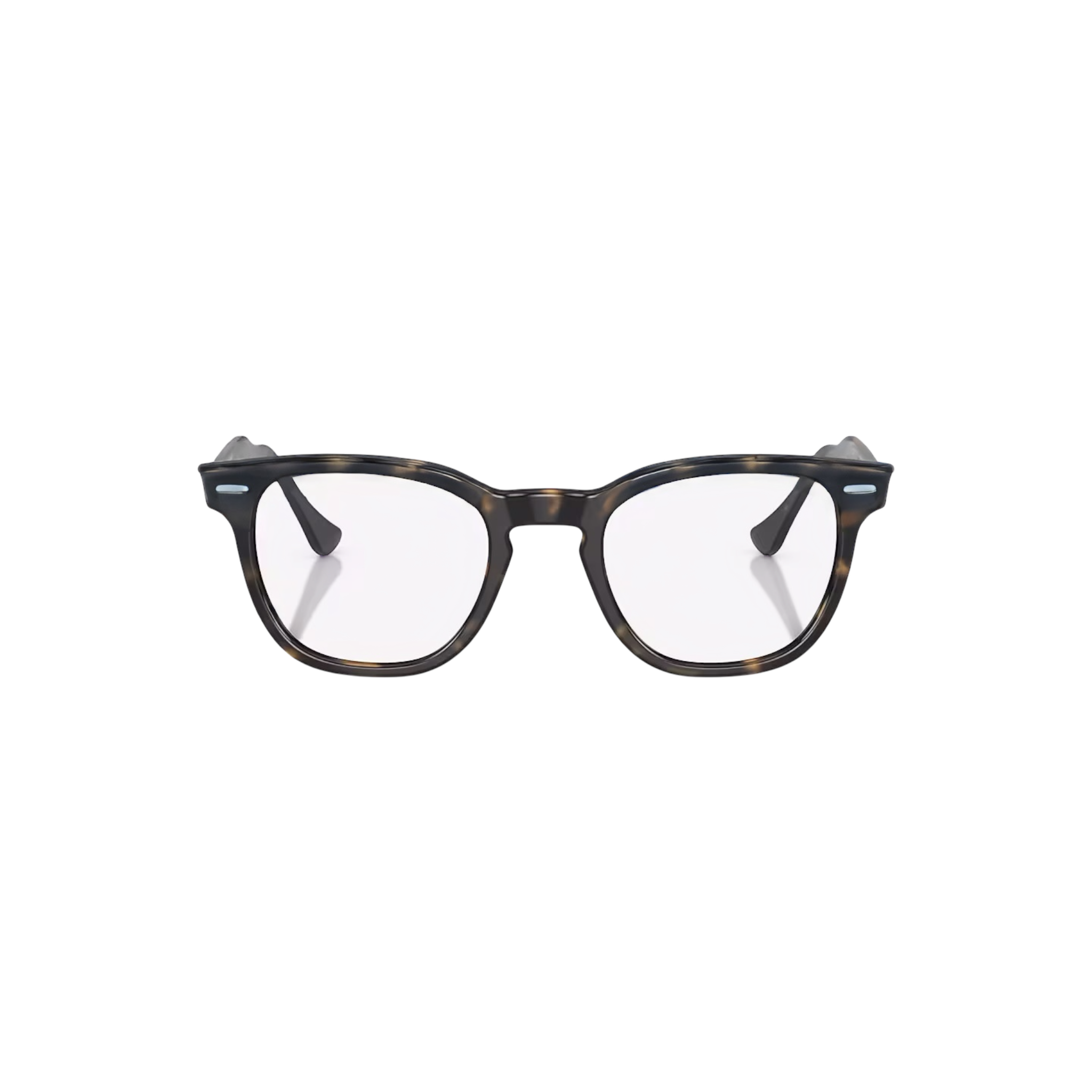 RB CLOUD OPTICS 102 (Havana)