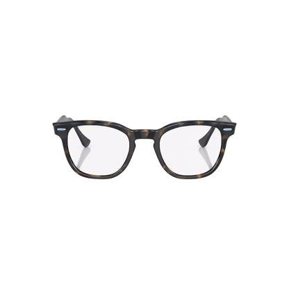 RB CLOUD OPTICS 102 (Havana)