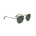 RB STUDIO 001 55 Polarized