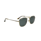 RB STUDIO 001 55 Polarized