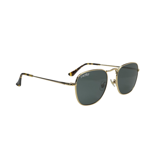 RB STUDIO 001 55 Polarized