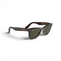 RB CLASSIC WALKER 102 55 Polarized
