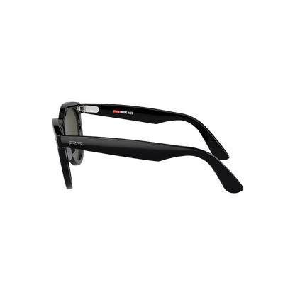 RB DUCK WALKER 100 55 Polarized