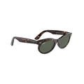 RB ROUND WALKER 102 55 Polarized