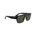 RB COOL 100 55 Polarized