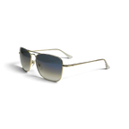 RBVAR: 001/46