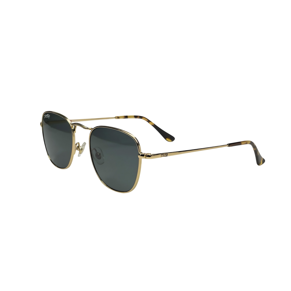 RB STUDIO 001 55 Polarized