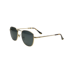 RB STUDIO 001 55 Polarized