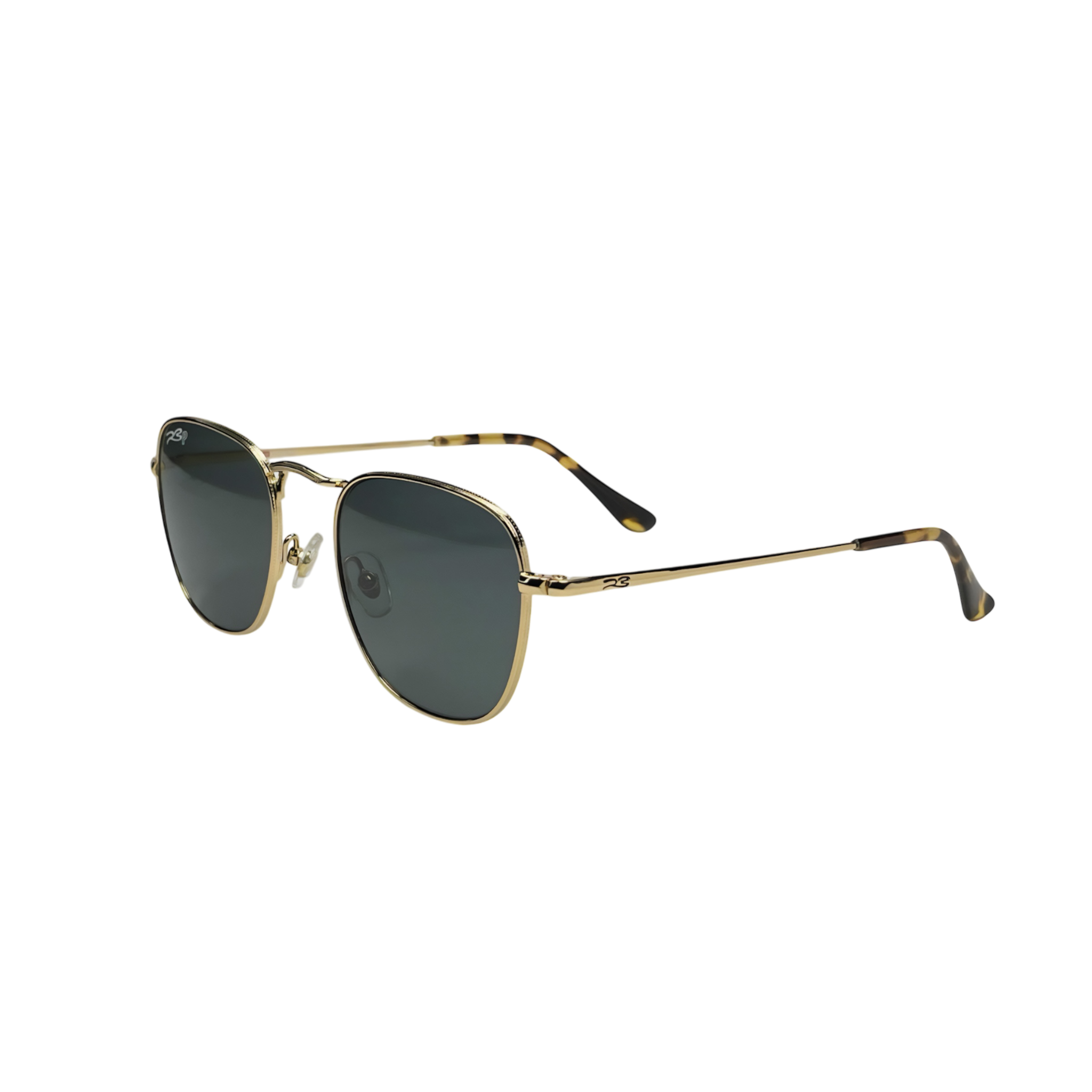 RB STUDIO 001 55 Polarized