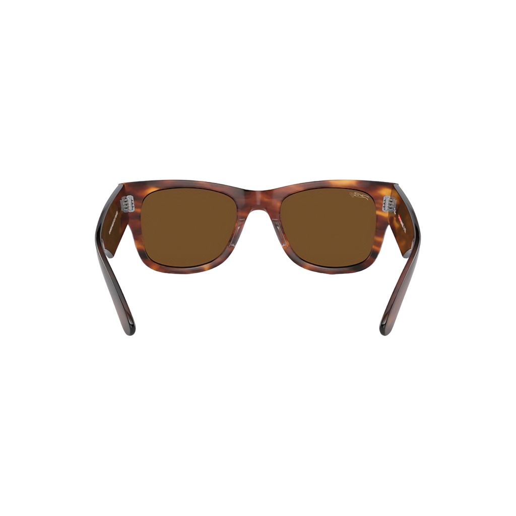 RB MONSTER WALKER 102 65 Polarized