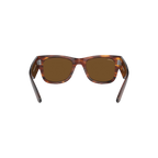 RB MONSTER WALKER 102 65 Polarized