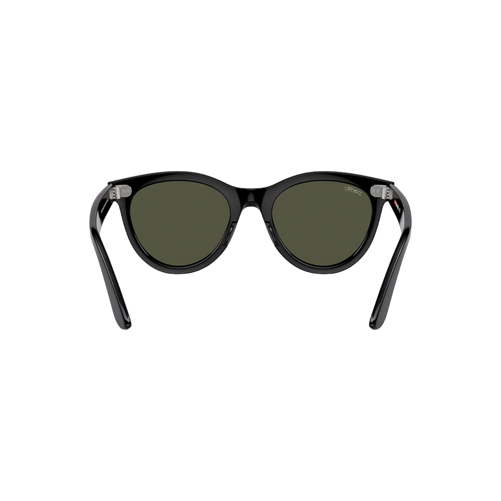 RB DUCK WALKER 100 55 Polarized