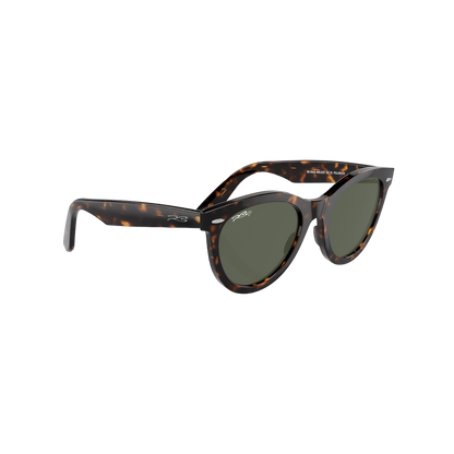 RB DUCK WALKER 102 55 Polarized