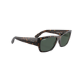 RB GIOVANNI 102 55 Polarized