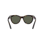 RB DUCK WALKER 102 05