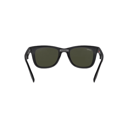 RB FOLDING WALKER 101 55 Polarized