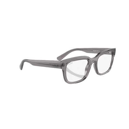 RB SQUARE OPTICS 113