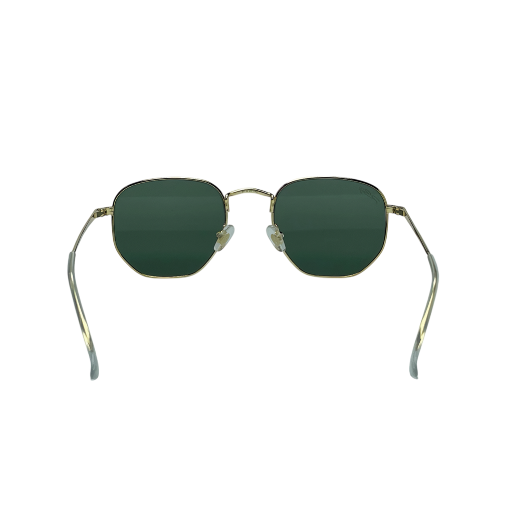 RB NIGUL II 001 55 Polarized